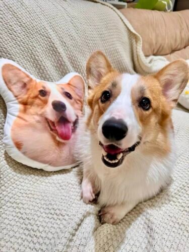 pillowcase photo review