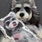 pillowcase photo review