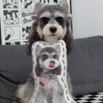 pillowcase photo review