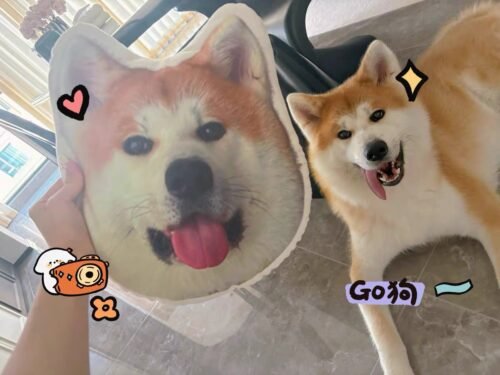 pillowcase photo review