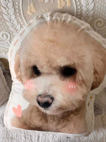 pillowcase photo review