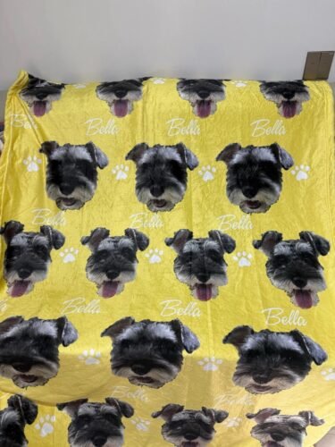 Blanket photo review