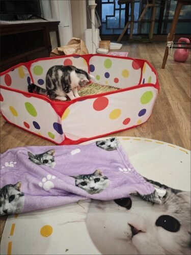 Blanket photo review