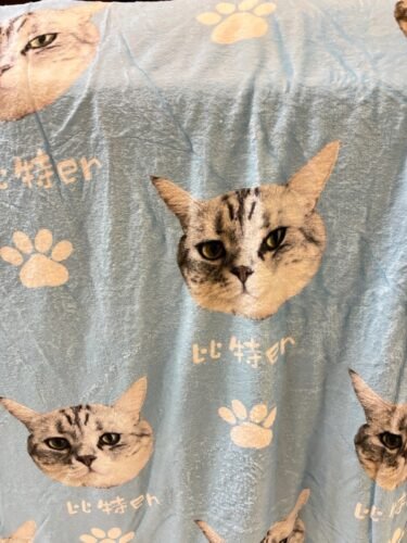 Blanket photo review