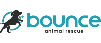 bounce-logo-350-x-151-px-1-1-1-1.webp